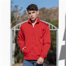 modelo 1 | Núcleo de ideas