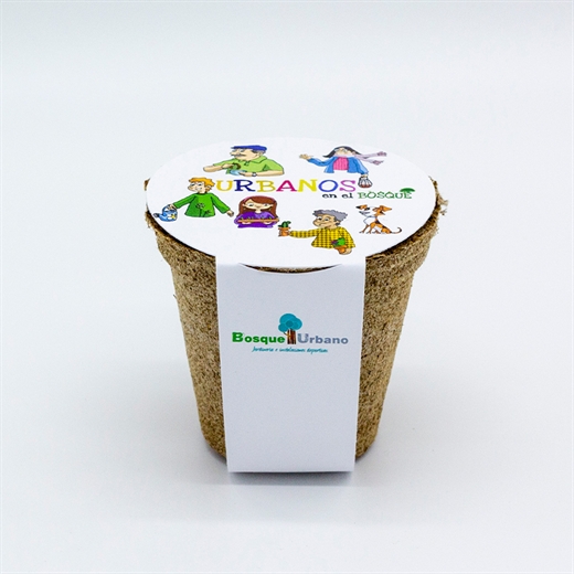 Ejemplo 2 | Núcleo de ideas