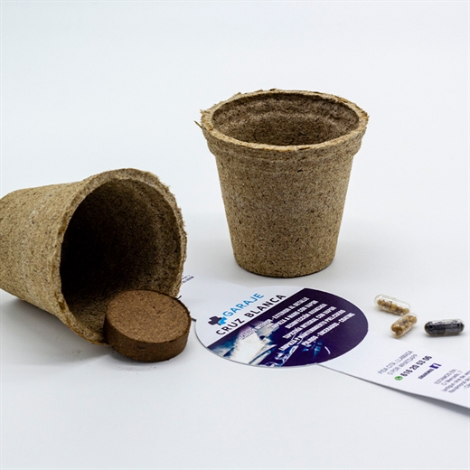 Diseño 2 | Núcleo de ideas