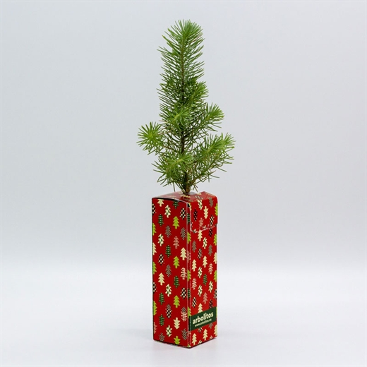 Arbolito Personalizado | Núcleo de ideas