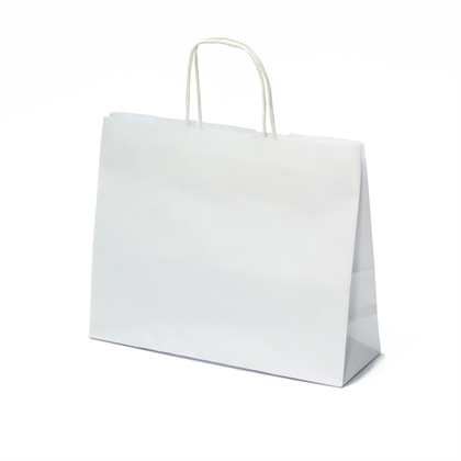 Bolsa de papel Modelo Dublín | Núcleo de ideas