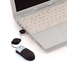 Detalle | Núcleo de ideas